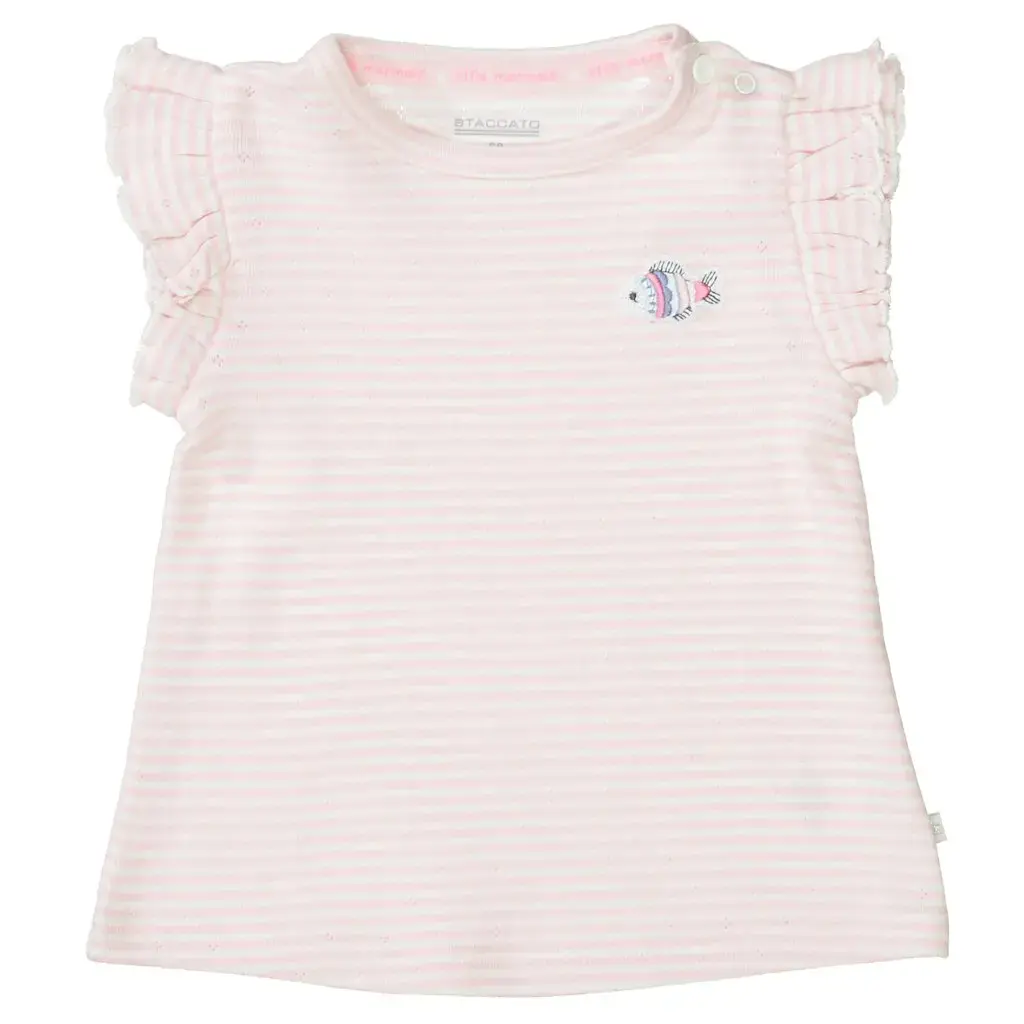 Md.-T-Shirt