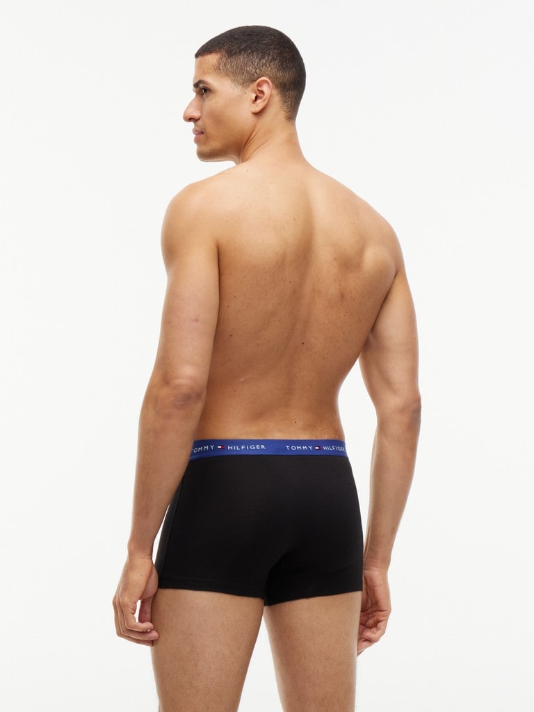 3P TRUNK WB