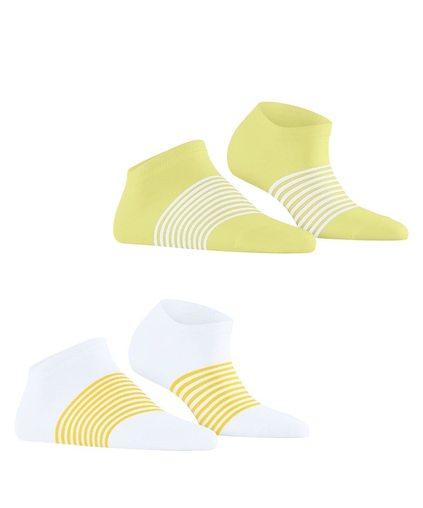 Esprit Summer Stripe 2-Pack Damen