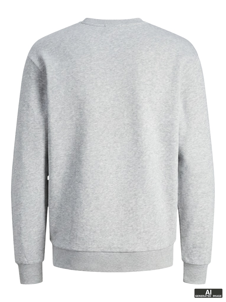 JJEBRADLEY SWEAT CREW NOOS