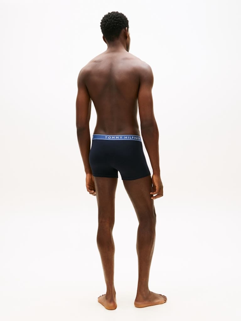 3P TRUNK WB