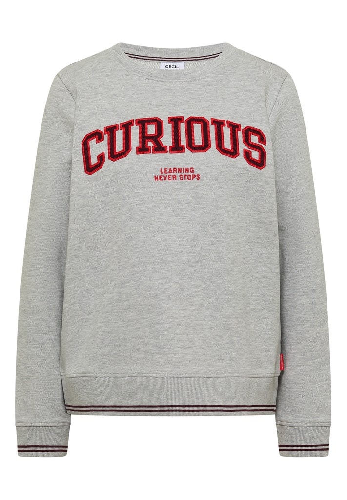Sweatshirt mit Rundhals und Stickerei