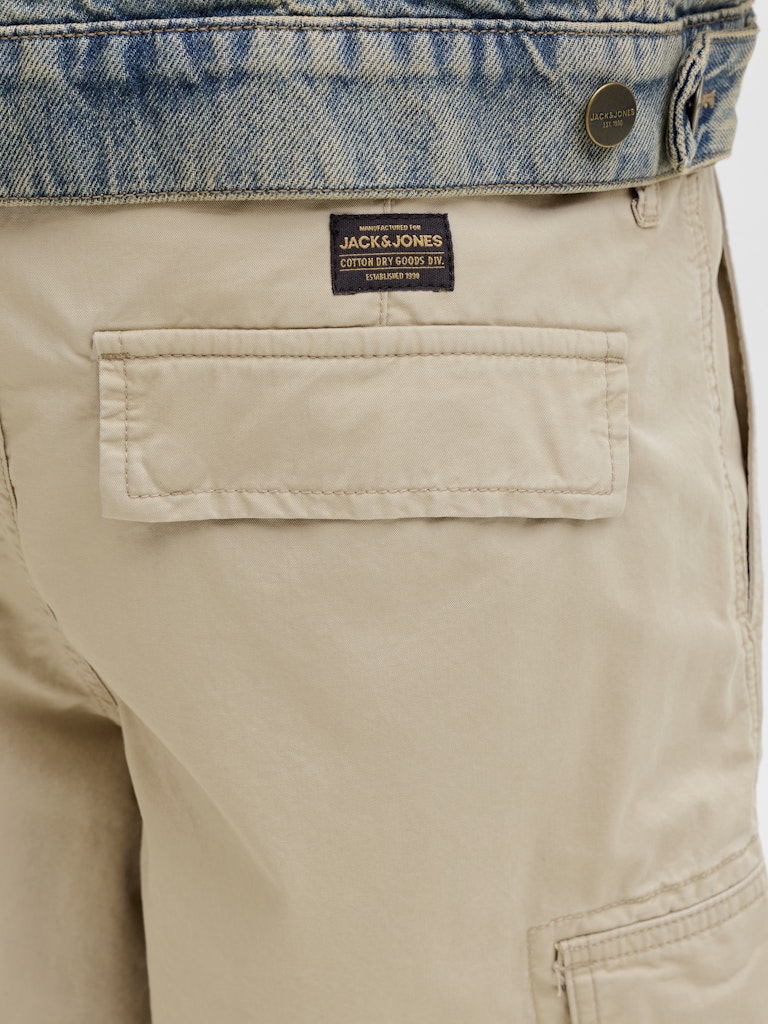 JPSTCOLE FRANK CARGO SHORTS MID SN