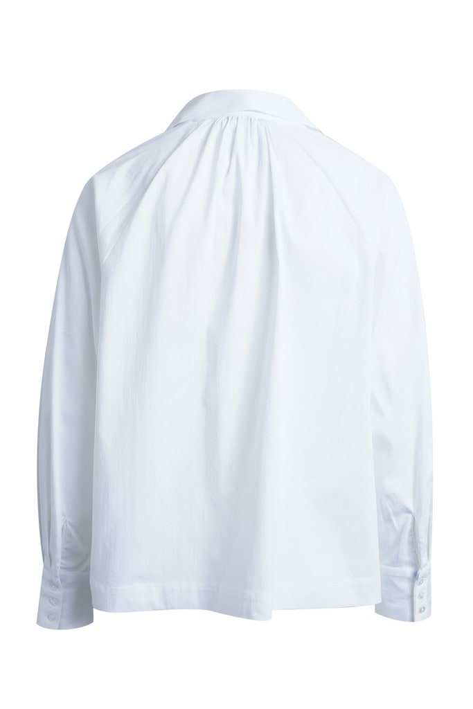 Raglan Blouse with Scarf Collar