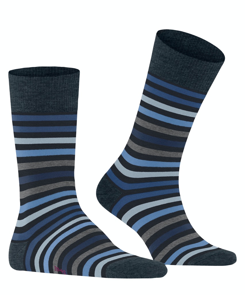 FALKE Tinted Stripe Herren