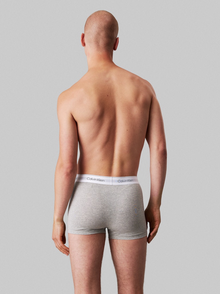 RELAXED DART TRUNK 3PK