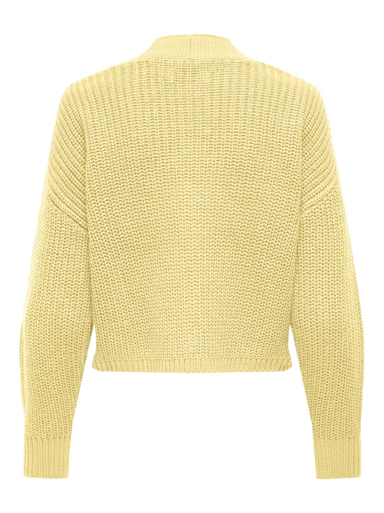 ONLCAROL NICE L/S CARDIGAN KNT NOOS