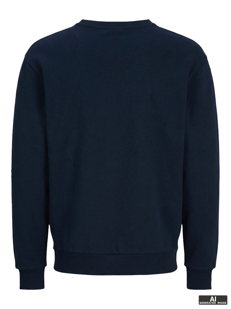 JJEBRADLEY SWEAT CREW NOOS