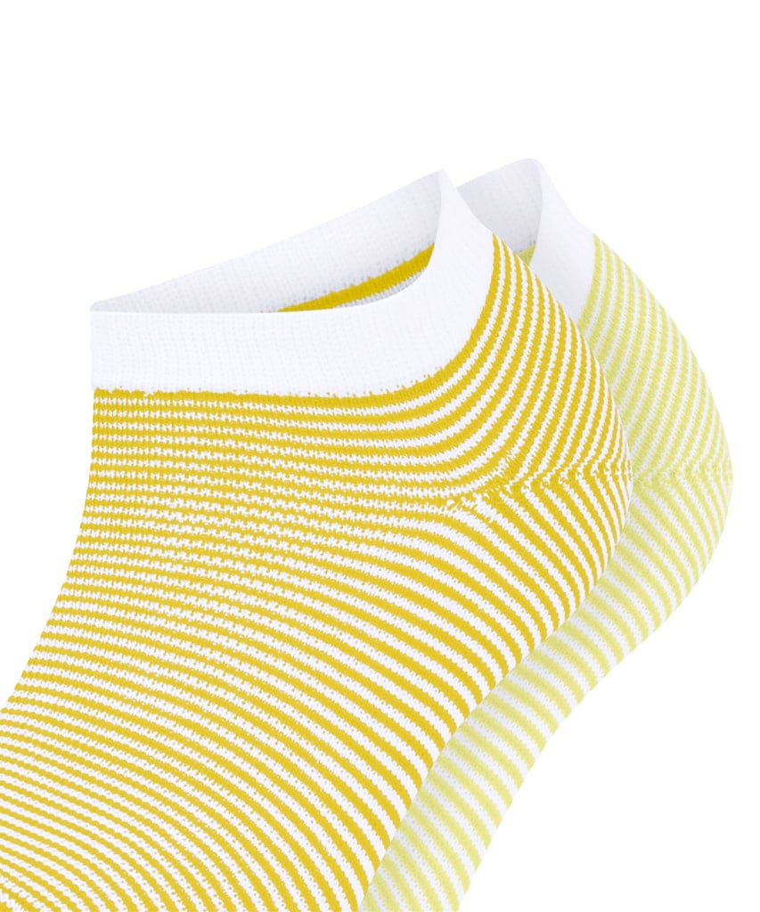 Esprit Allover Stripe 2-Pack Damen