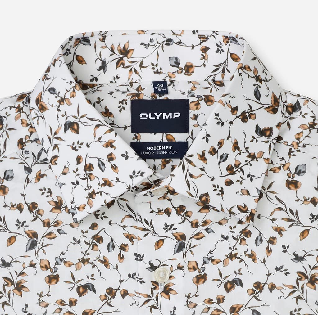 OLYMP Luxor