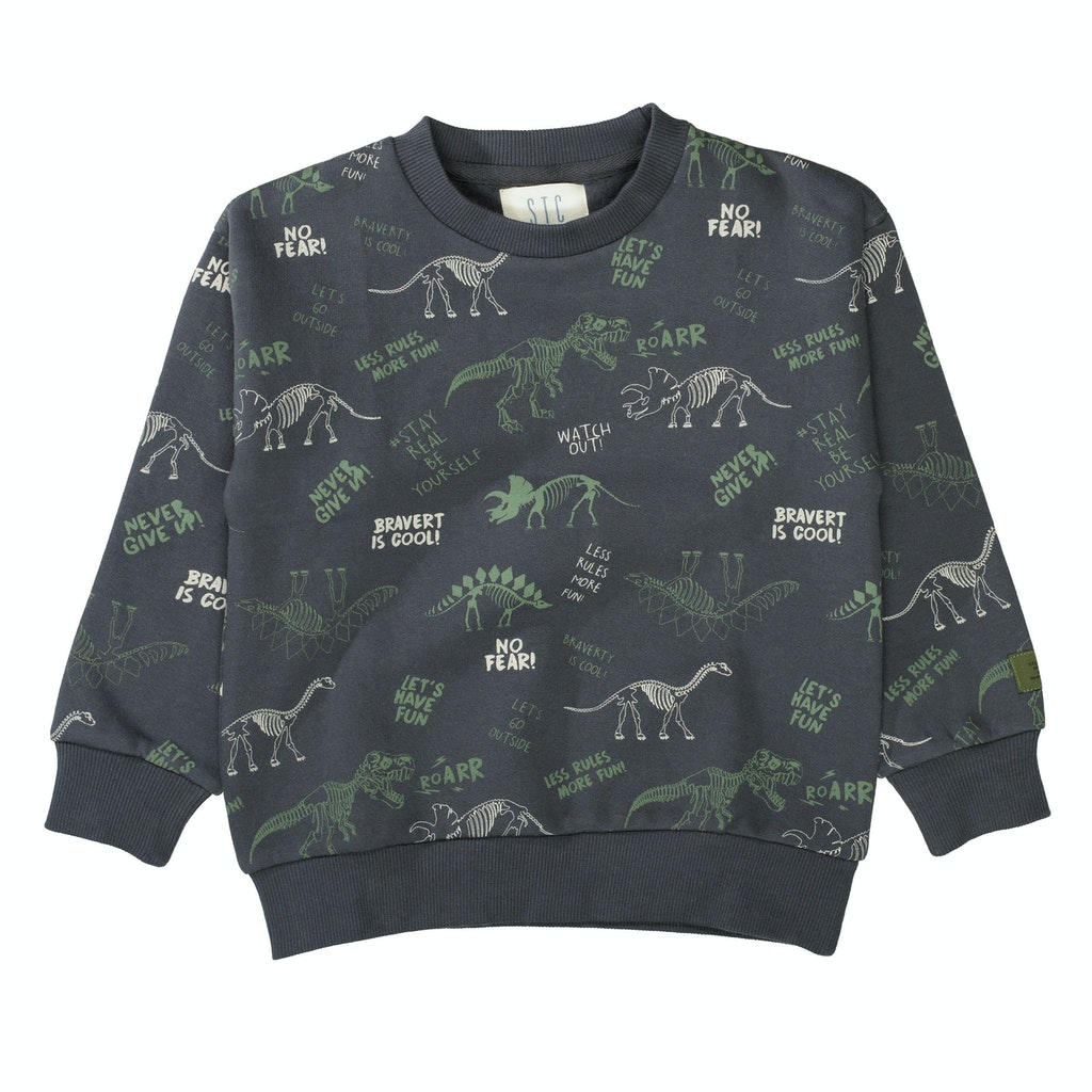 Sweatshirt mit Dino-Prints