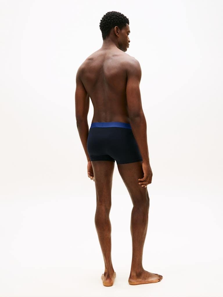 3-Pack TH Original Logo Waistband Trunks