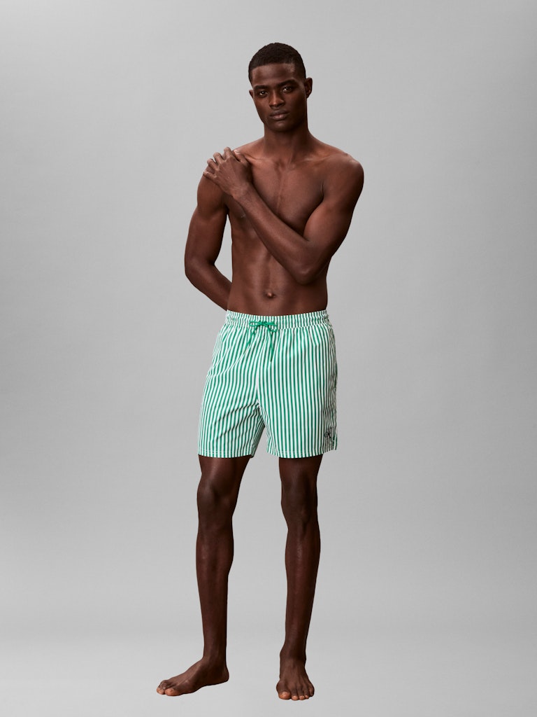 Medium Drawstring Waistband Swim Shorts