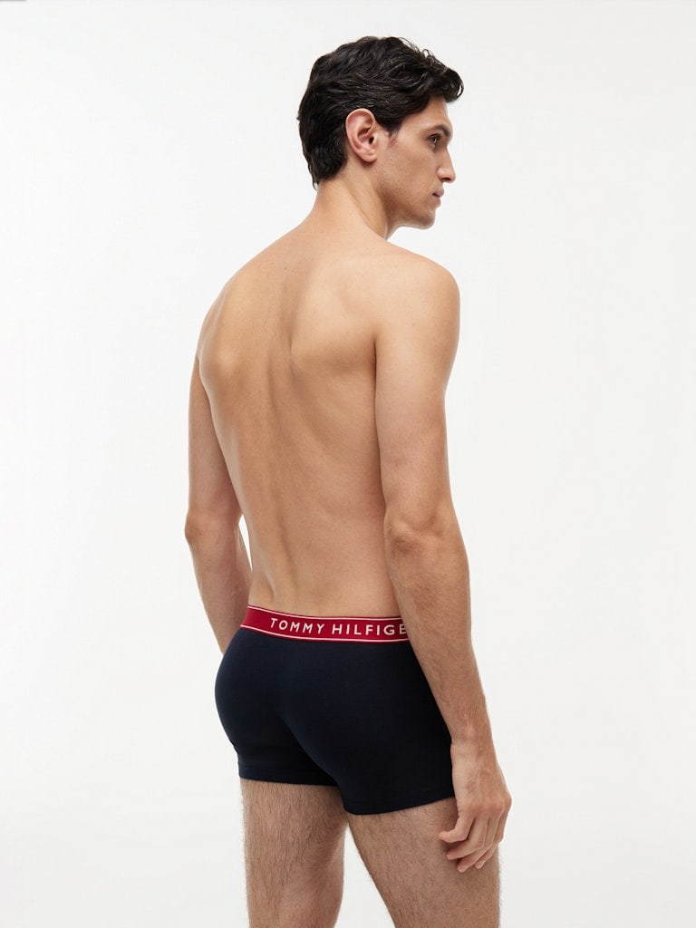 3P TRUNK WB