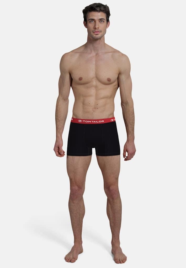 TOM TAILOR Herren Pants 3er Pack