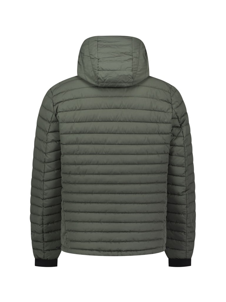 Jacket Hooded Short Fit Padded