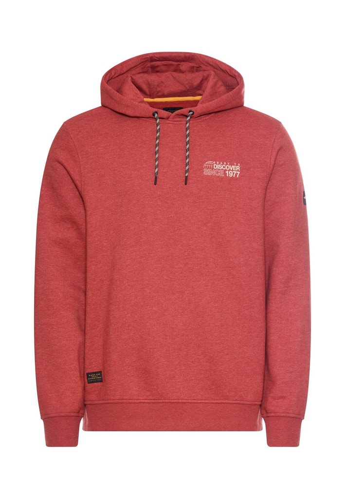 Hoodie mit Rückenprint